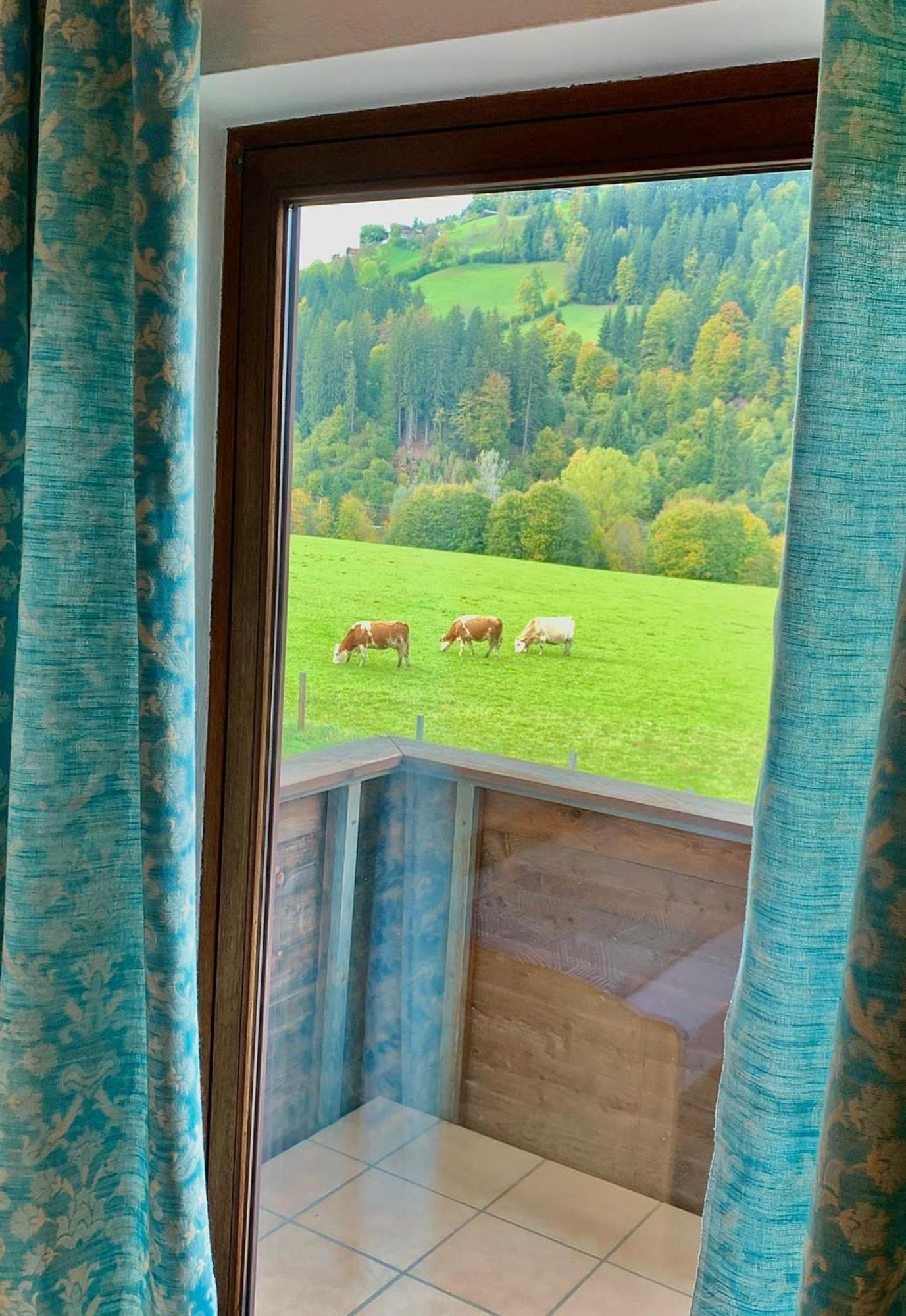 Fleckalm Chalets Kirchberg in Tirol Quarto foto